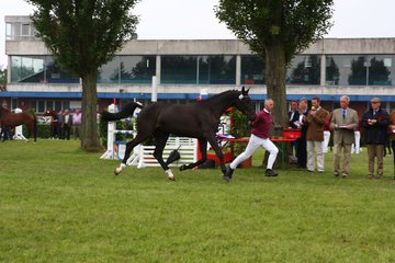 Bild 96 - Elmshorn am 9.6.10